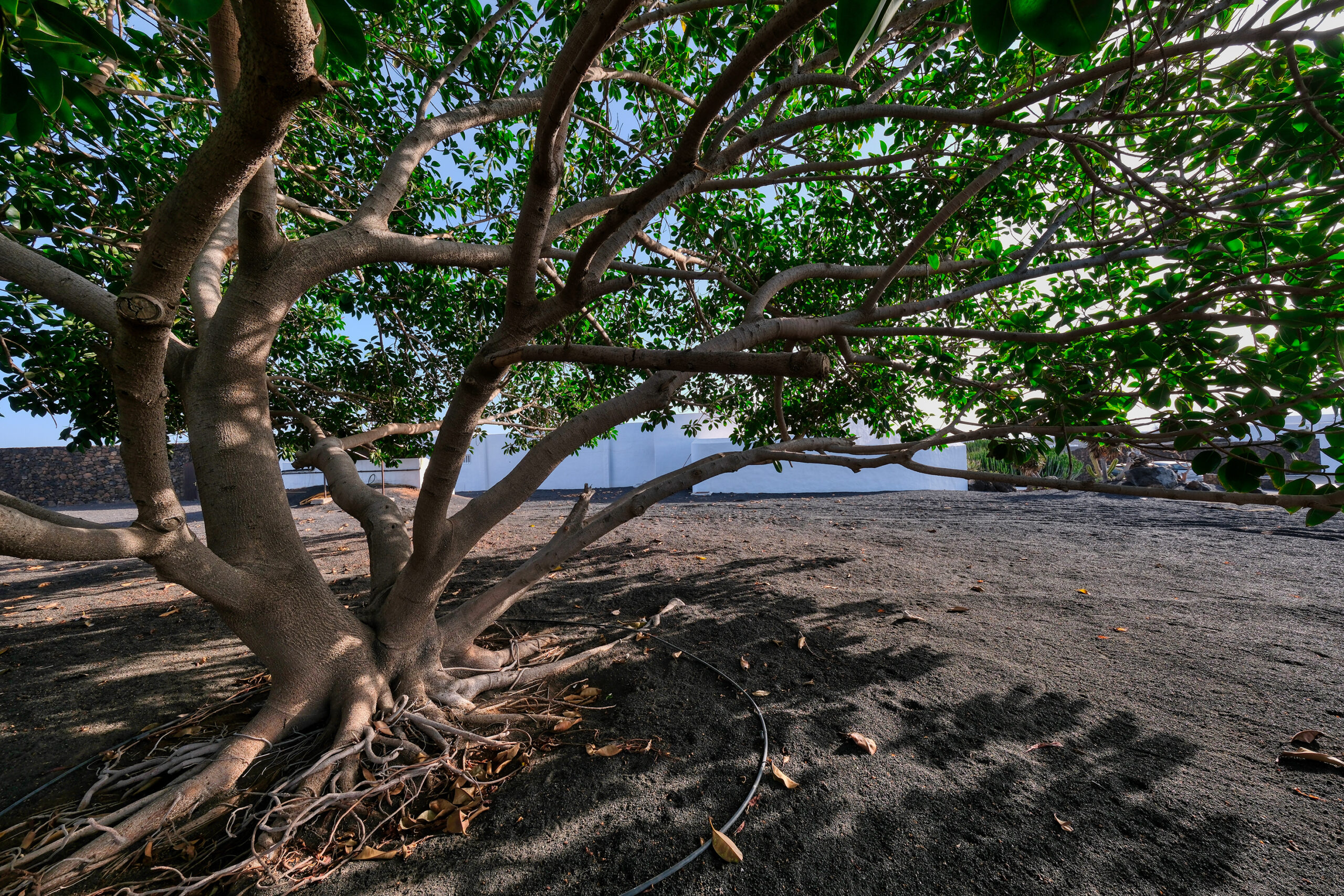 Villa-Luciano-Puerto-Del-Carmen-Lanzarote-Villa-Completa (48)