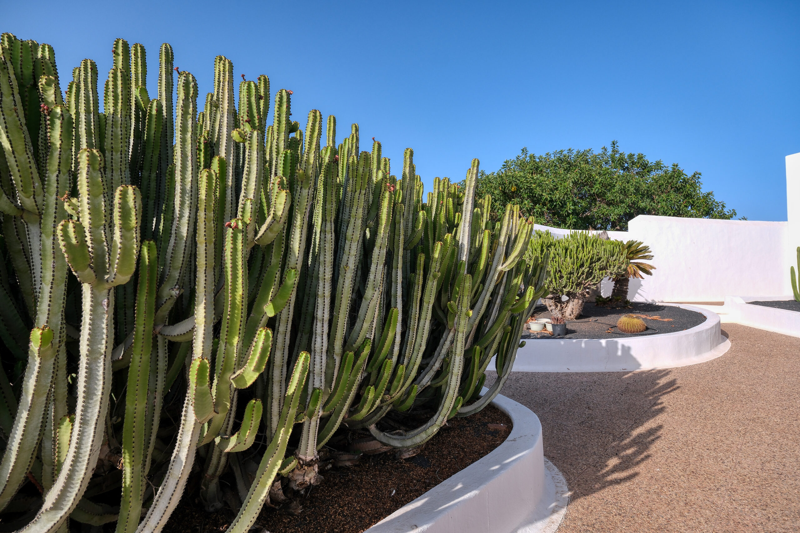 Villa-Luciano-Puerto-Del-Carmen-Lanzarote-Villa-Completa (50)