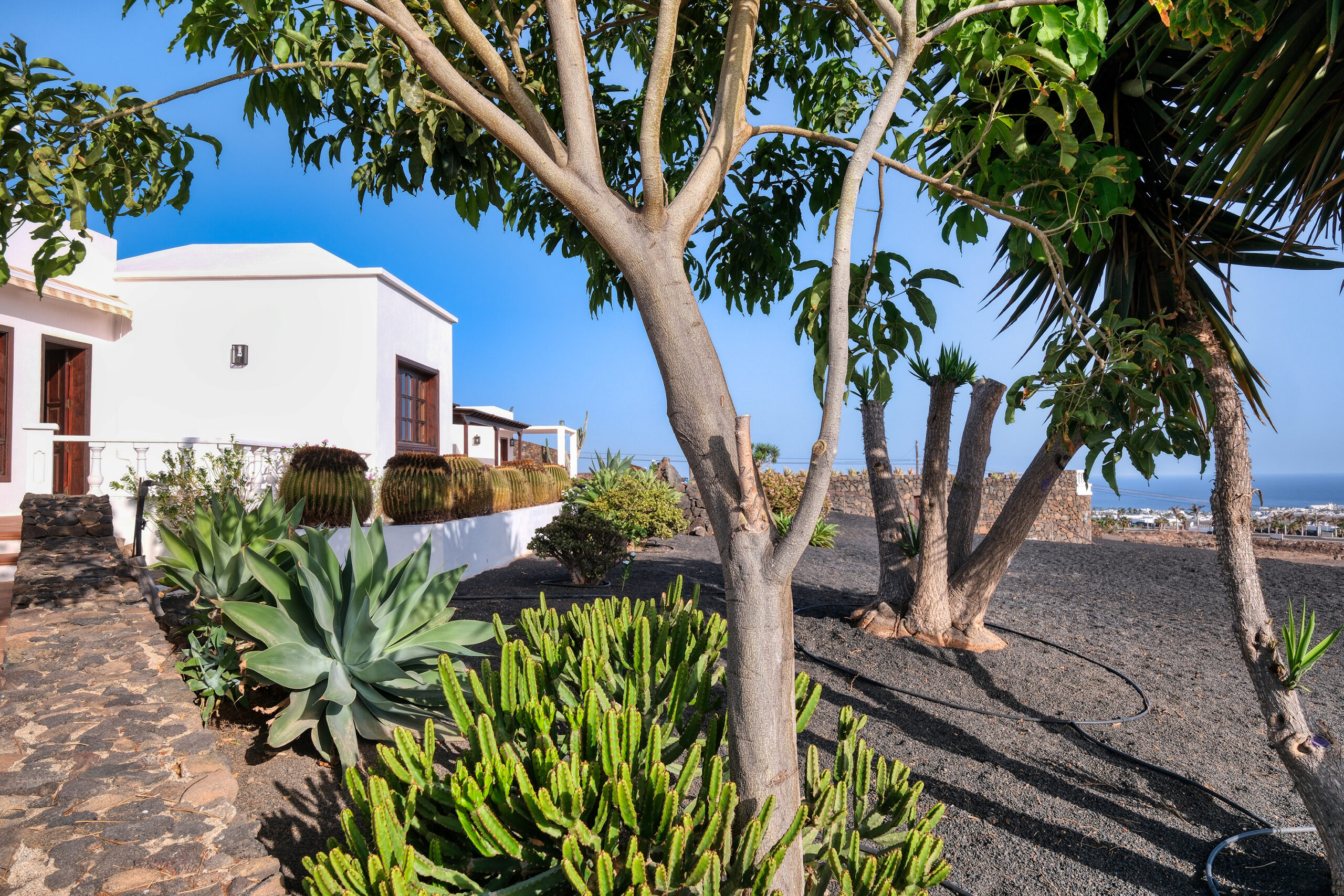 Villa-Luciano-Puerto-Del-Carmen-Lanzarote-Villa-Completa (51)