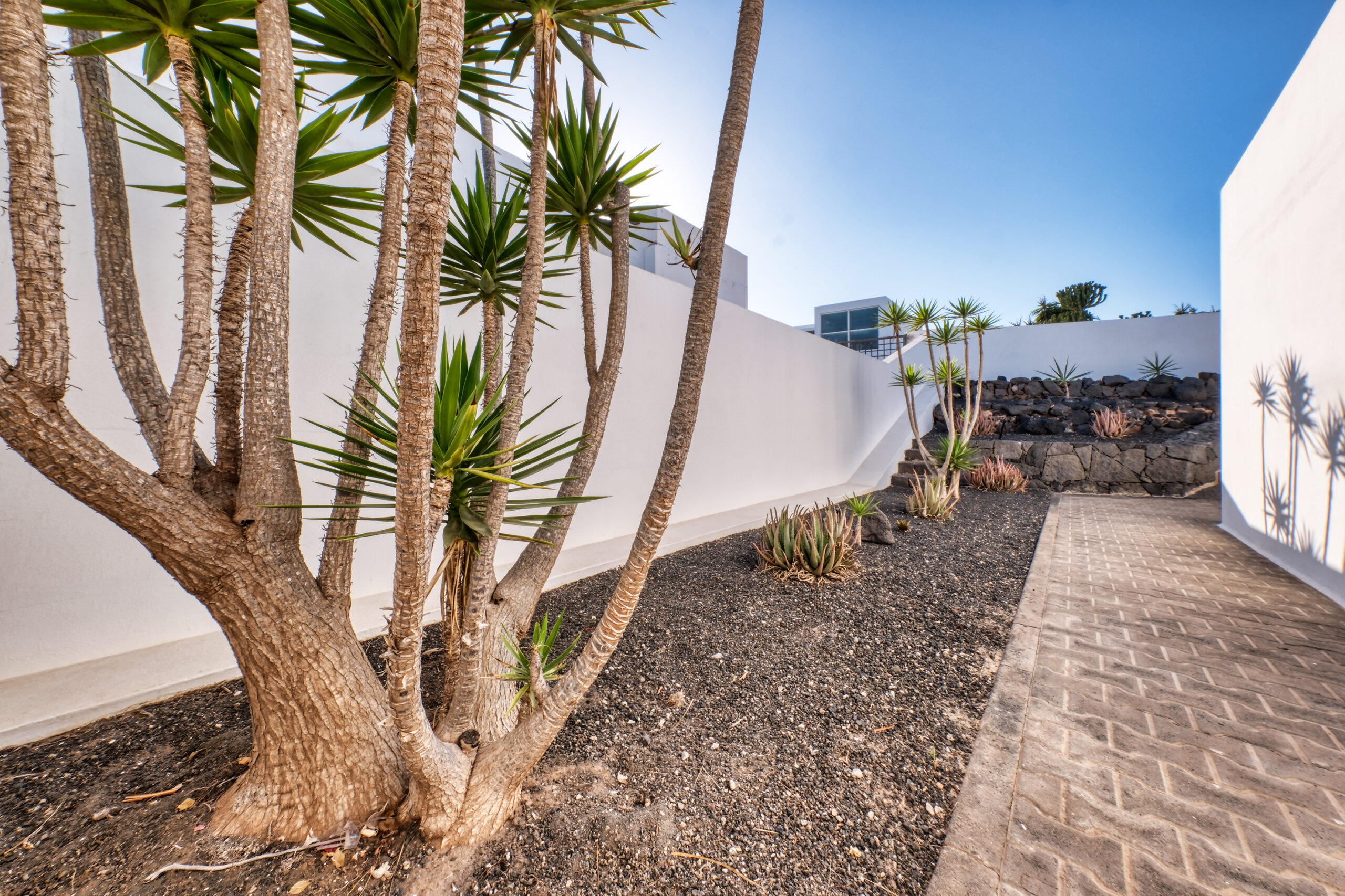 Casa-Vacacional-Lanzarote-PLaya-Blanca (41)