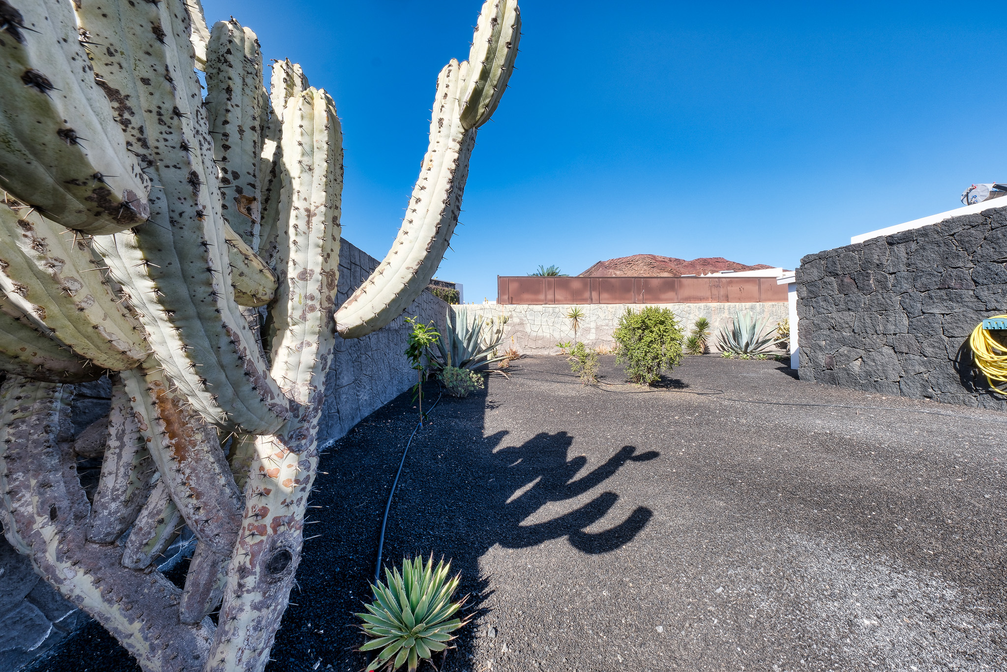 Blue Waves House - Lanzarote Vacation Homes (29)