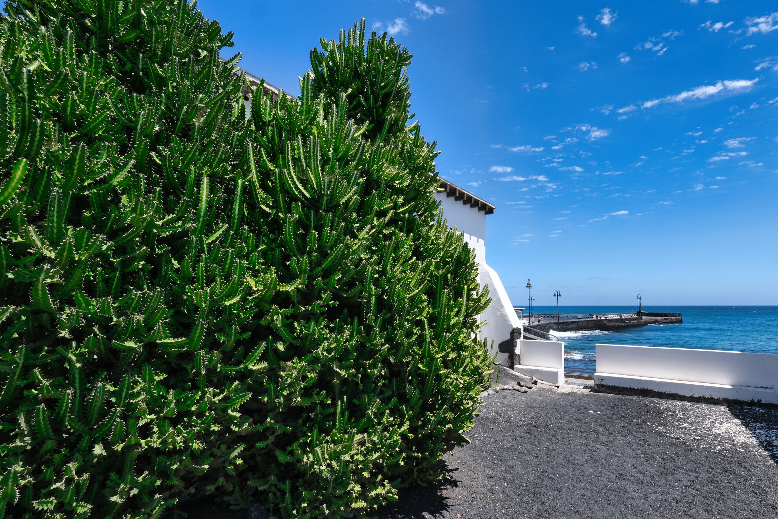 Casa-Aramen-Vivienda-Vacacional-Pie-De-Playa-Arrieta-Lanzarote (18)